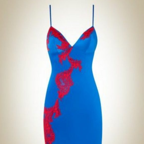 Agent Provocateur lotus slip